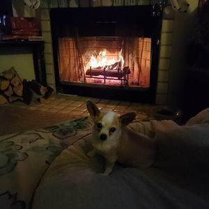 Meet your Posher, Joy